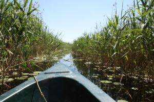 Abenteuer Donaudelta