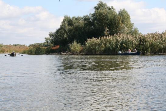Angeln in Donaudelta: Im Bereich  von Murighiol