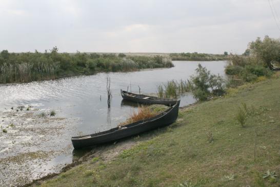 Angelreisen in Donaudelta: Ruderboote im Donaudelta