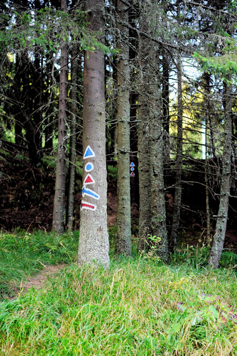 Ausschildung der Wanderwege, kein Mensch weit und breit