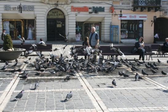 Urlaub in Rumänien: Brasov - Marktplatz