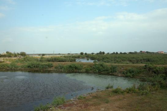 Im Donaudelta: Blick auf die Deltalandschaft