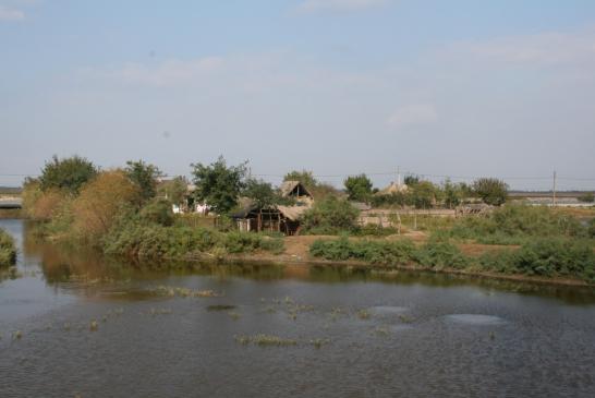 Im Donaudelta: Blick auf eine dörfliche Landschaft im Donaudelta