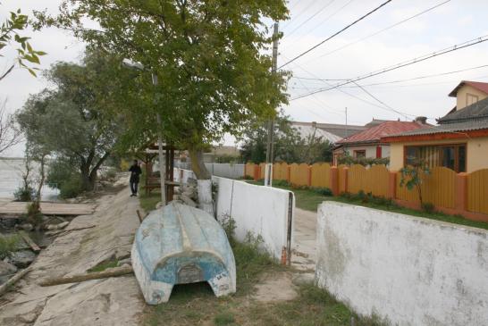 Im Donaudelta: Am Ufer der Doanu in Crisan