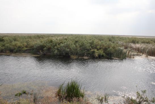 Im Donaudelta: Blick auf die Landschaft des Deltas