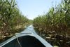 Foto: Im Donaudelta => Eigene Anreise nach Tulcea und weiter mit dem Schiff ins Donaudelta