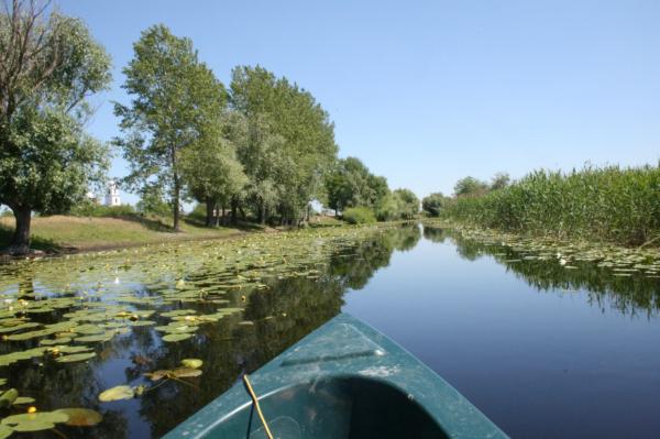 Tour ins Donaudelta