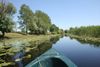 Tour ins Donaudelta