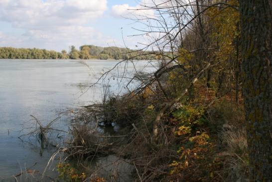 Im Doandelta: Wanderung an der Donau bei Nafaru
