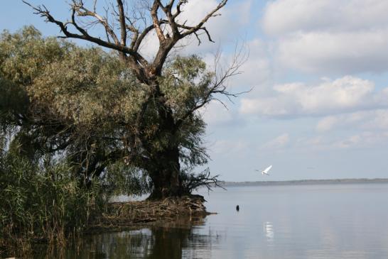 Im Donaudelta bei Murighiol: Kleine Wanderung an der Doanu
