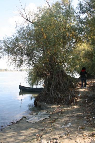 Boot an der Donau bei Nafaru