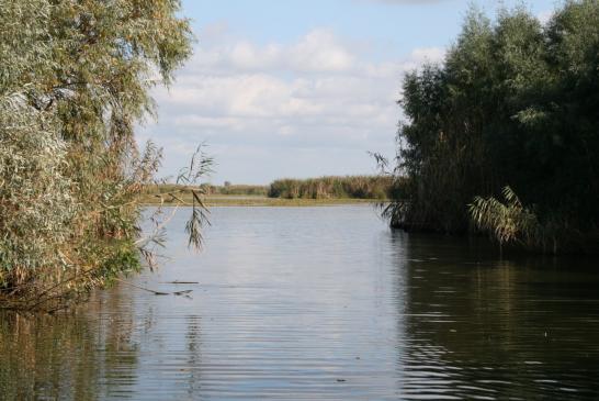 Im Donaudelta bei Murighiol: Blick auf einen See im Donaudelta