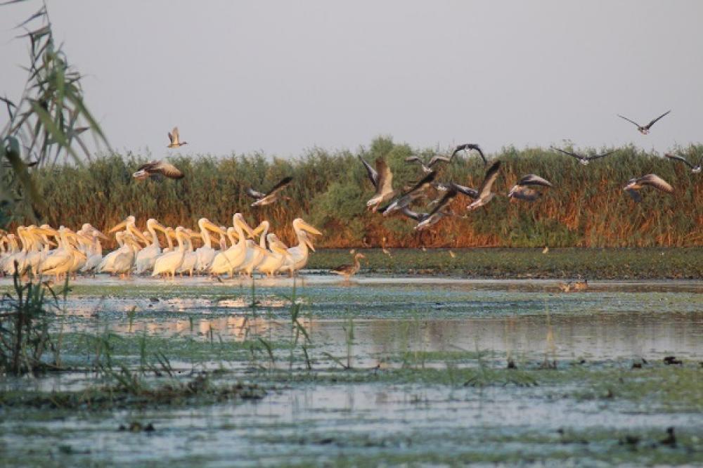 August 2015 - Von Galaţi ins Donaudelta