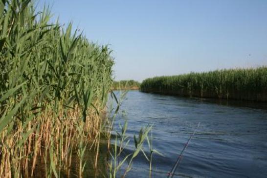 Urlaub im Donaudelta: Bootstour zum Iacob-See im Donaudelta