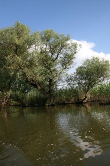 Urlaub in Rumänien: Donaudelta