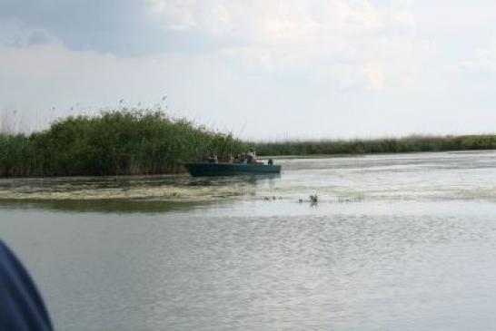 Urlaub in Rumänien: Im Donaudelta