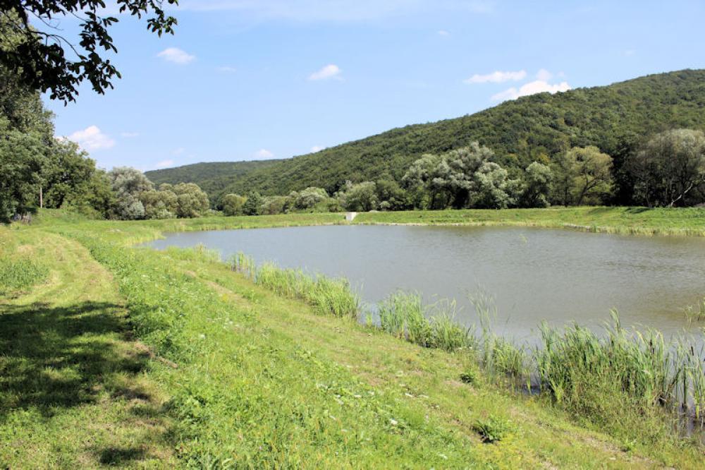 Im August 2014 durch Rumänien, Teil 5 - in Siebenbürgen