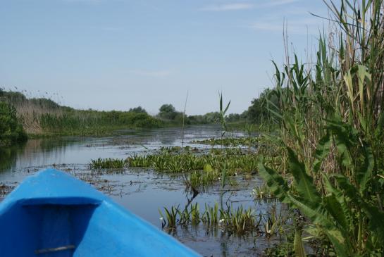 Mitten im Donaudelta