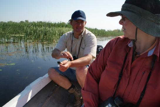 Mitten im Donaudelta