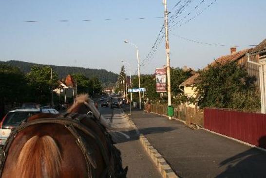 Urlaub in Gura Humorului: Kutschfahrt durch Gura Humorului