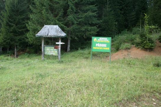 Weg zum Kloster Alt-Agapia: Hinweisschild