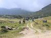Borsa und Umgebung: Wanderung im Maramures
