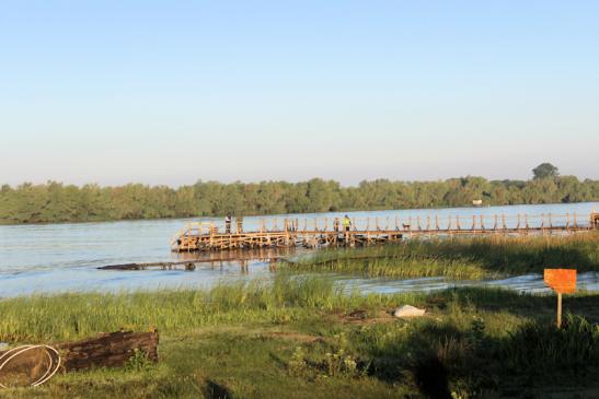 Urlaub in Sfantu Gheorghe - Foto: An der Donau bei Sfantu Gheorghe