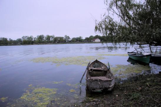 Blick auf die Donau in Periprava