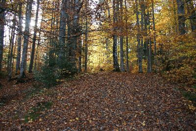 Urlaub in Rumänien: Herbst in Predeal