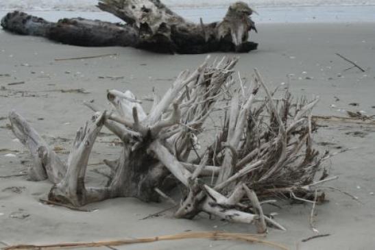 Urlaub in Rumänien: Am Schwarzen Meer bei Sfantu Gheorghe