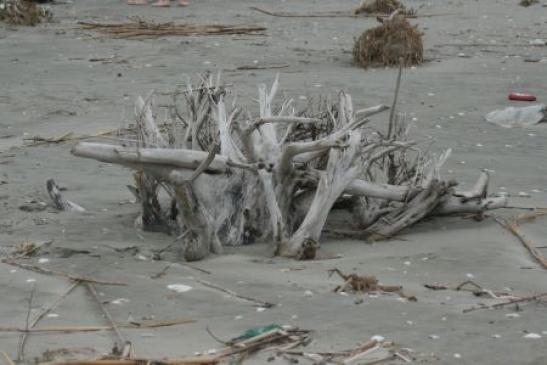 Urlaub in Rumänien: Am Schwarzen Meer bei Sfantu Gheorghe