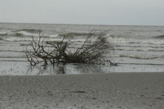 Urlaub in Rumänien: Am Schwarzen Meer bei Sfantu Gheorghe