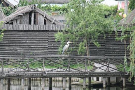 Urlaub in Rumänien: Sfantu Gheorghe