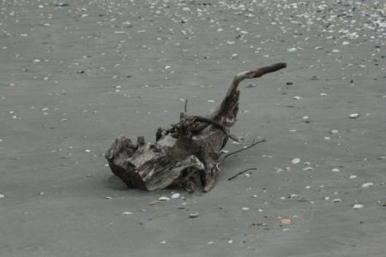 Urlaub in Rumänien: Am Schwarzen Meer bei Sfantu Gheorghe