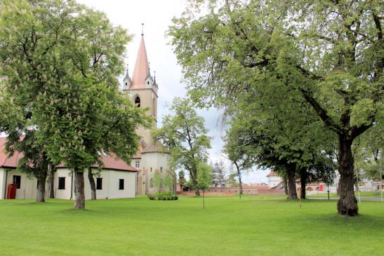 Reformierte Burgkirche innerhalb der Festung von Targu Mures  (Neumarkt am Mieresch)