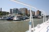 Tour ins Donaudelta
