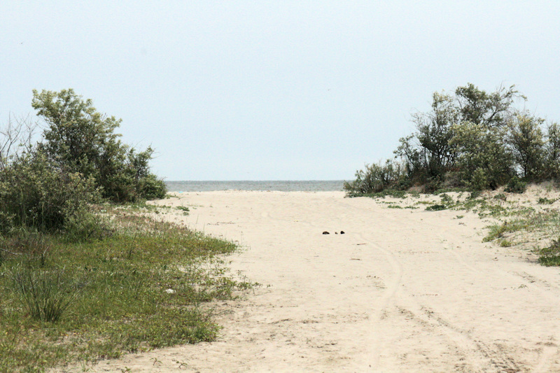 Urlaub in Sfantu Gheoghe - Urlaub am Schwarzen Meer - Urlaub im Donaudelta