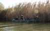 Angeln im Donaudelta - Informationen