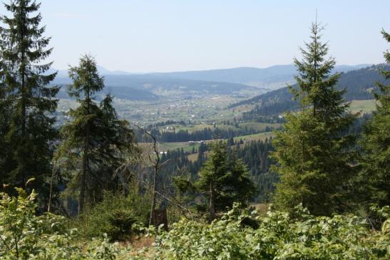 Urlaub in Rumänien:  Wanderungen im Gebiet von Vatra Dornei