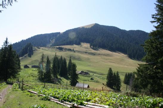 Urlaub in Rumänien:  Wanderungen im Gebiet von Vatra Dornei