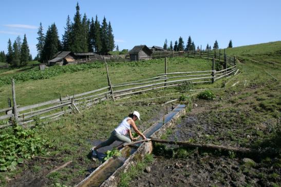 Urlaub in Rumänien:  Wanderungen im Gebiet von Vatra Dornei