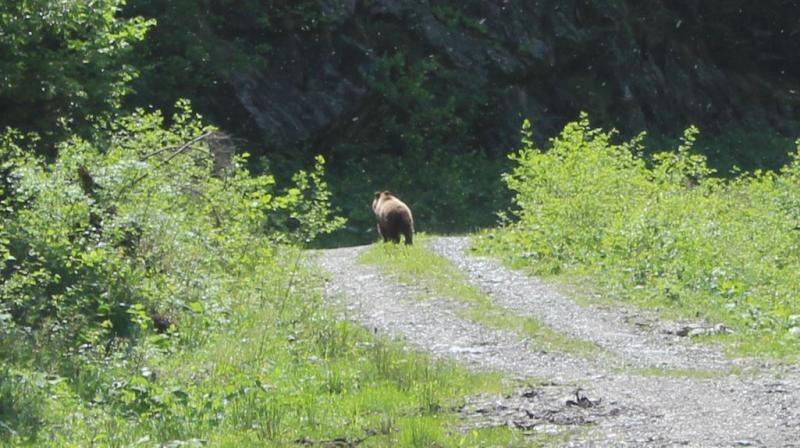 wanderung-bei-fagars-1