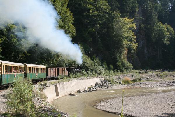 Die Wassertalbahn (Mocănița) in Viseu de Sus