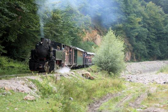 Fahrt mit der Wassertalbahn (Mocănița) in Viseu de Sus