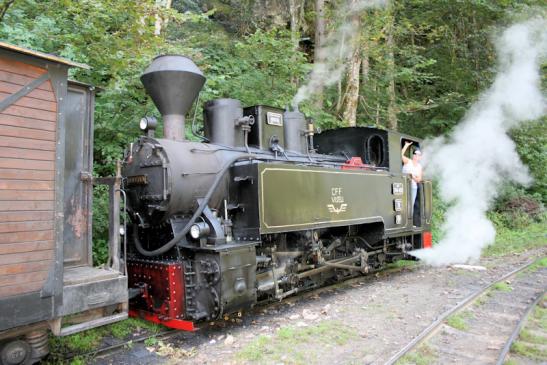 Urlaub in Rumänien: Die Wassertalbahn (Mocănița) in Viseu de Sus 