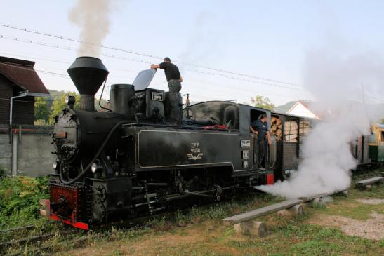 Fahrt mit der Wassertalbahn (Mocănița) in Viseu de Sus