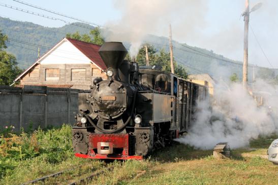 Fahrt mit der Wassertalbahn (Mocănița) in Viseu de Sus