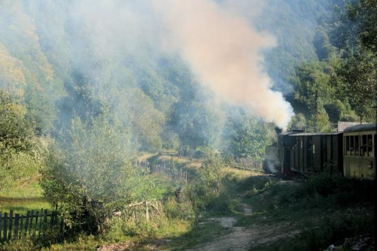 Fahrt mit der Wassertalbahn (Mocănița) in Viseu de Sus