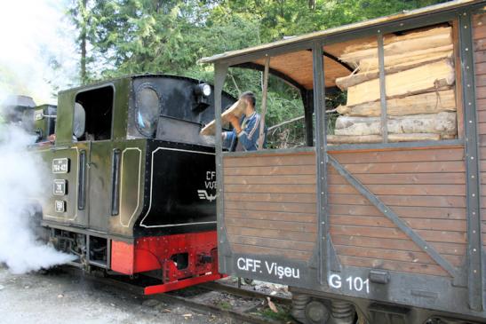 Fahrt mit der Wassertalbahn (Mocănița) in Viseu de Sus
