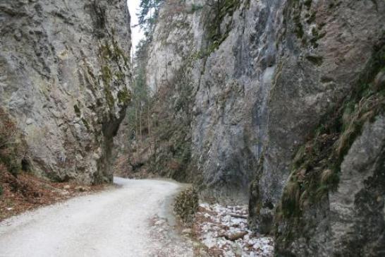 Urlaub in Rumänien: Klettern bei Zărnești